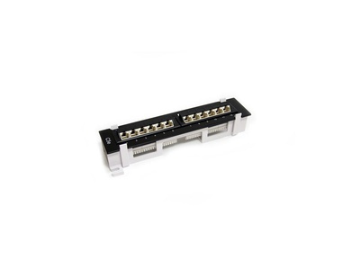 12 Port Cat5e Wall mount Patch Panel